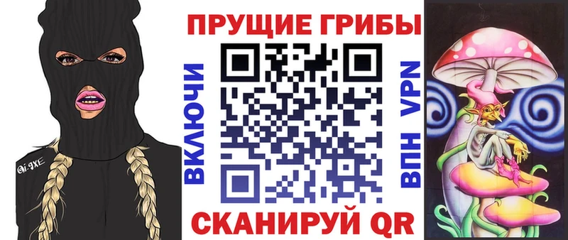 OMG ONION  Кемь  Галлюциногенные грибы Cubensis 